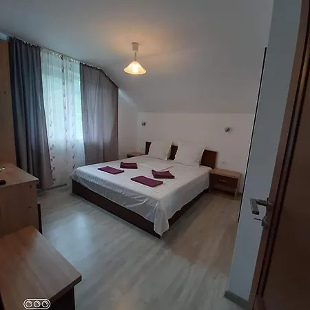 Casa Trache Guest house Calimanesti